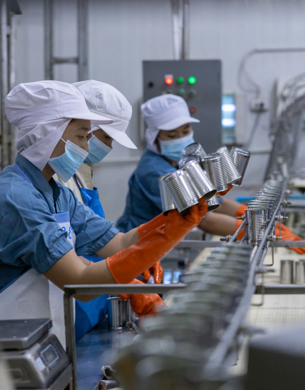 Assembly line workers processing cans